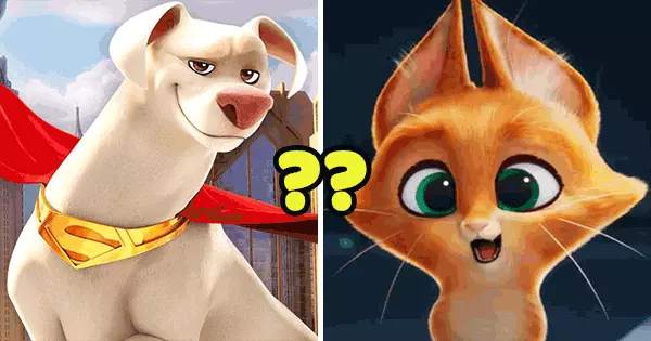 Decorate Your Pet House To Discover Which DC League Of Super Pet Matches Your Vibe?